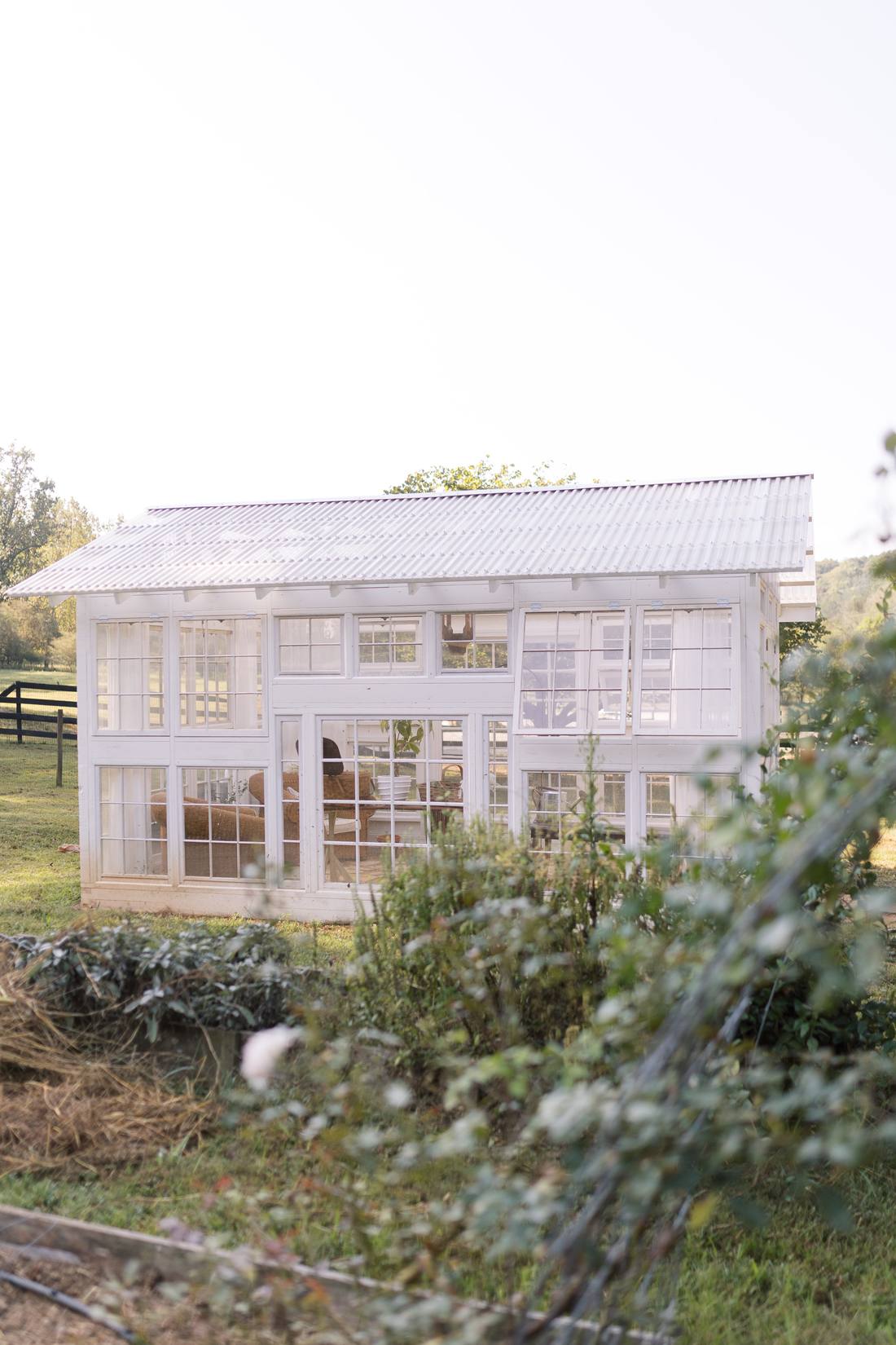 The long glass elevation of the greenhouse with curtains inside, black board fencing and pasture beyond
